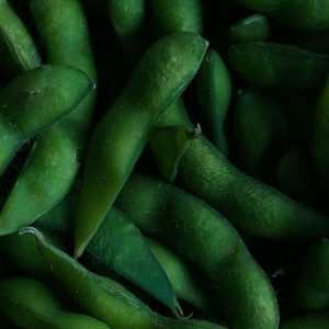 Soy