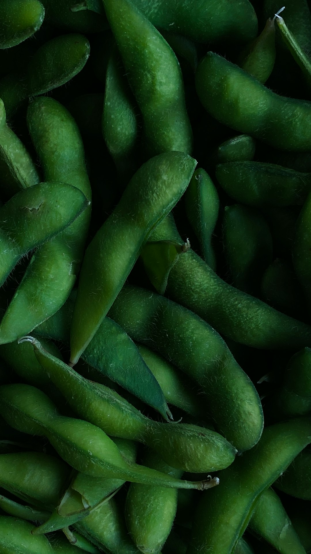 Soy