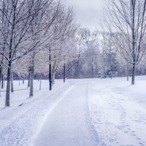 Cold