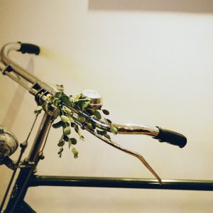 Bike Smoothie