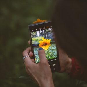 Natural Samsung